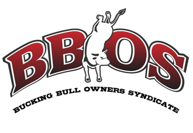 Logo and Branding: A Logo for a Collective group of Bucking Bull Owners 